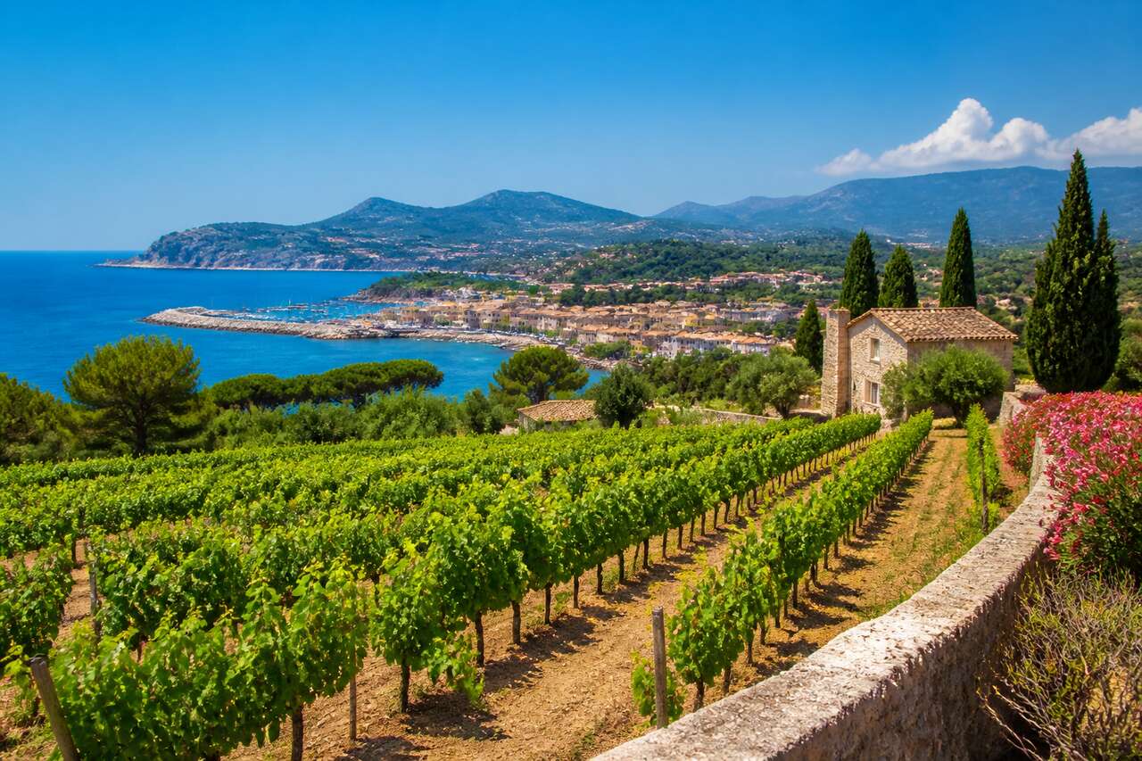 Investissement à sanary-sur-mer : découverte des trésors viticoles